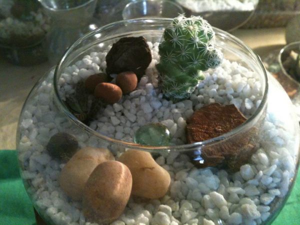 Mini Jardim